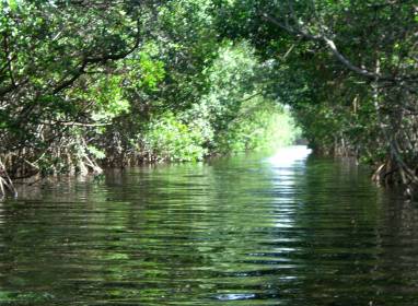 Atractivos en Cayo Coco: La Redonda Lagoon