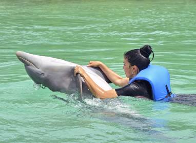 Recinto para golfinhos em Cayo Santa Maria