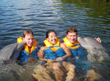 Atractivos en Cienfuegos: Dolphin Pool