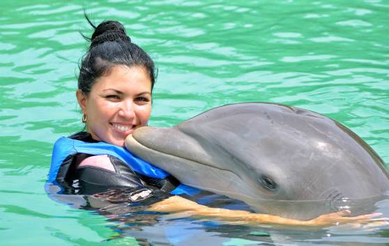 Atractivos en Варадеро: Дельфинарий